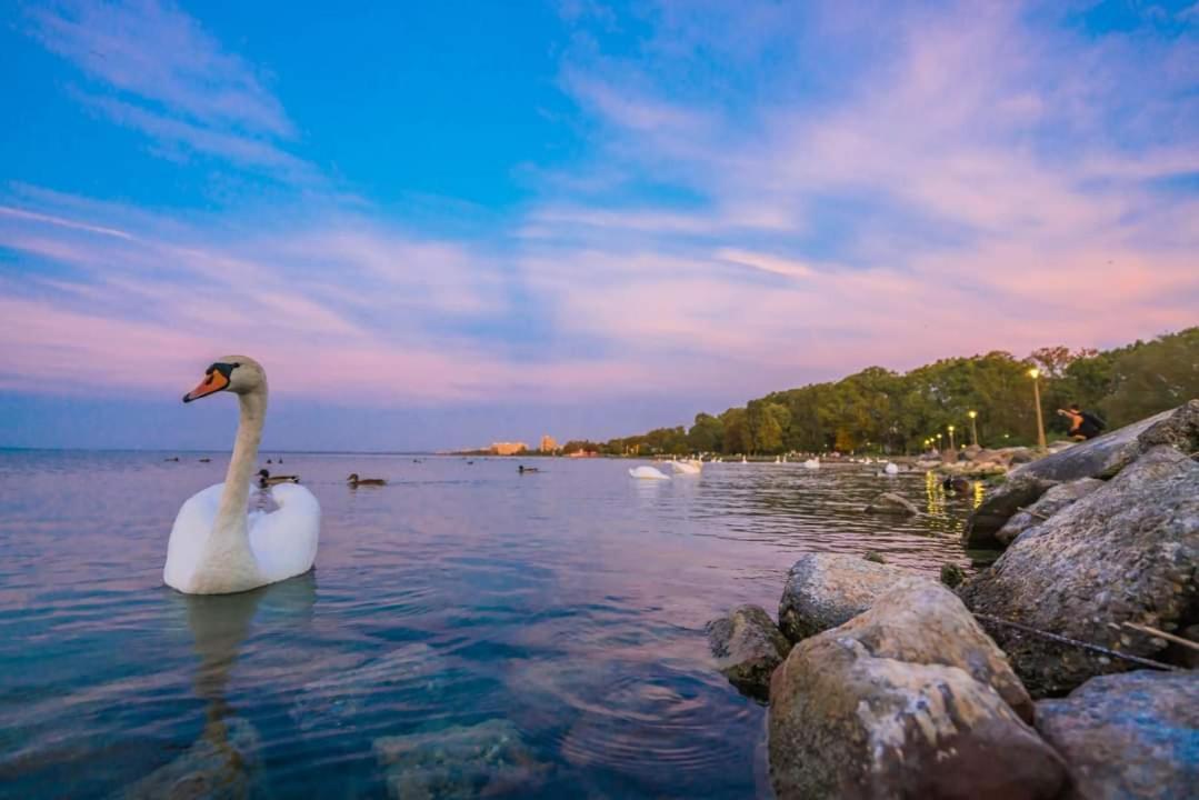 Balaton Wellness Apartman Σίοφοκ Εξωτερικό φωτογραφία